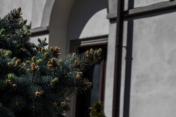balcony with flowers