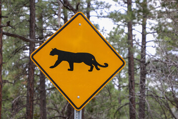 Raubkatzen-Warnschild im Grand Canyon - Nationalpark in Arizona/USA
