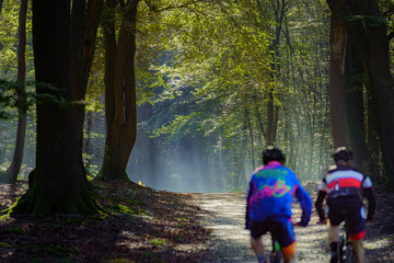 Sporty cyclists, mountain biking through the forest in the early morning at first light