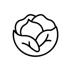 Cabbage 