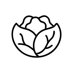 Cabbage 