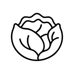 Cabbage 
