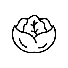 Cabbage 