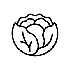 Cabbage 