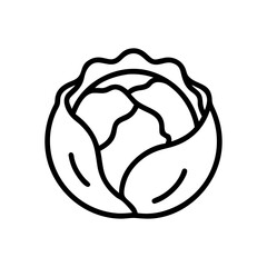 Cabbage 
