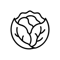 Cabbage 