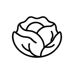 Cabbage 