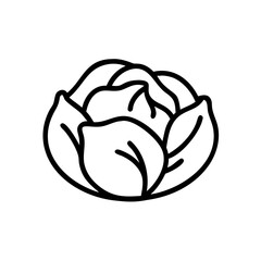 Cabbage 
