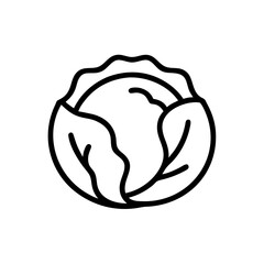Cabbage 