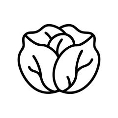 Cabbage 