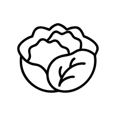 Cabbage 