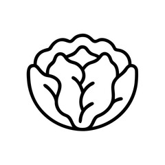 Cabbage 