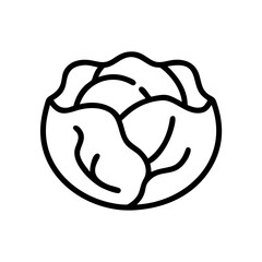 Cabbage 