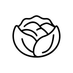 Cabbage 
