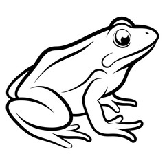 Simple Frog Vector Art Drawing.