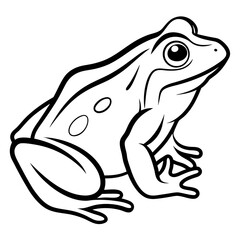 Simple Frog Vector Art Drawing.