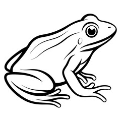Simple Frog Vector Art Drawing.