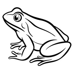 Simple Frog Vector Art Drawing.