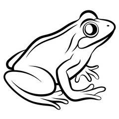 Simple Frog Vector Art Drawing.