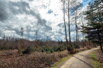 Die Landschaft in und um der Bergwerkswüstungszone im Eschweiler Wald