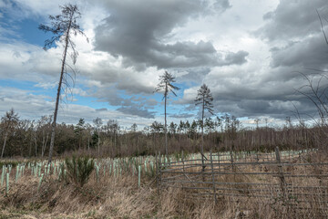Die Landschaft in und um der Bergwerkswüstungszone im Eschweiler Wald