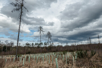 Die Landschaft in und um der Bergwerkswüstungszone im Eschweiler Wald