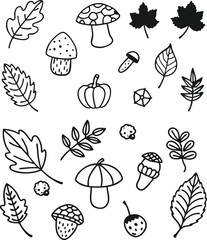 Cute black and white floral and geometric design elements
