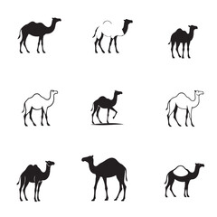 Camel icon set Art