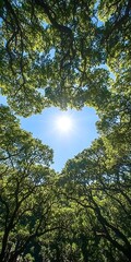 Obraz premium Heart of Trees Canopy Forming a Natural Window to the Sunny Skies