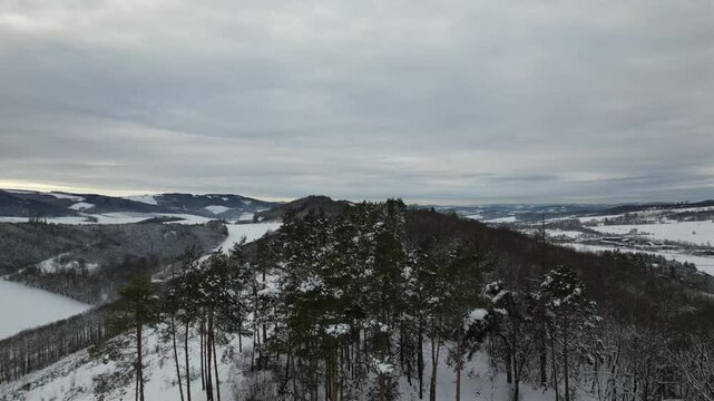 Niederwald Odin bei Visbeck und Hellefeld im Januar 2025 - Wanderparadies im Sauerland, NRW