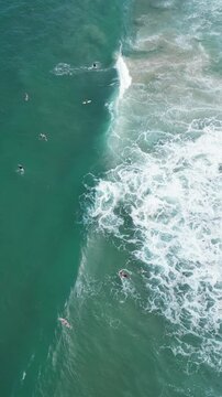 Praia Mole Florian&oacute;polis Surfistas