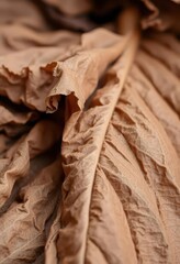 Dry, crumpled tobacco leaves showing veins and texture, rustic background, dry