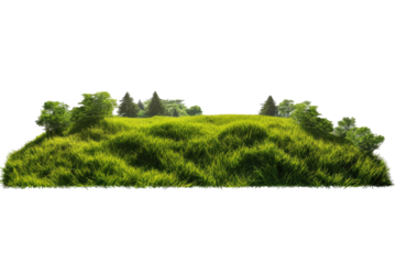  Lush green grass landscape