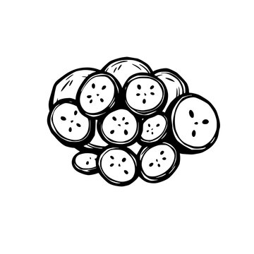 black and white cucumber slices clip art preview