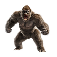 Fototapeta premium Fierce gorilla roaring on a transparent background animal illustration
