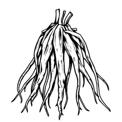 Tangled Tendrils A Mesmerizing Sketch of Nature s Intricate Complexity