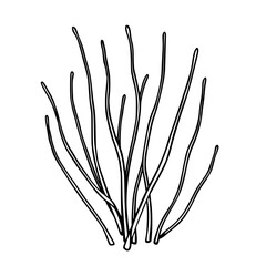 Delicate Strands A Minimalist Symphony of Black Curves Reaching Towards the Ethereal Expanse