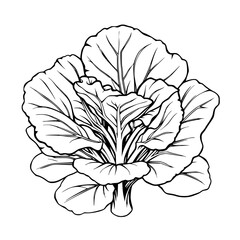 Fototapeta premium Elegant Monochrome Illustration of a Captivating Peony Bloom - A Botanical Study in Line Art