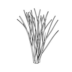 Minimalist Bundle of Linear Sticks A Bold Abstract Composition of Black Branching Lines