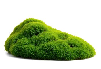 Fototapeta premium Lush green moss clump, isolated on pure white, surface, background