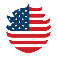 american flag icon