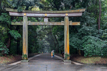 The iconic torii gate of Meiji Shrine in Tokyo stands amid a dense forest, symbolizing the...
