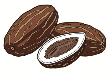 14 Macro photograph, single ripe date fruit, rich brown color, glossy skin, elongated shape, soft wrinkles, natural texture, white background, studio lighting, high detail, food photography, 8K resolu