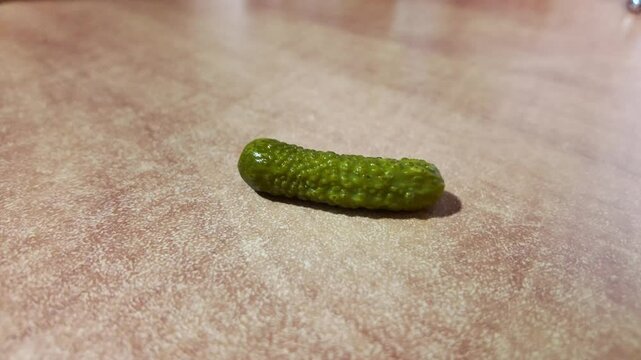 Small gherkin pickle resting on wooden cutting board