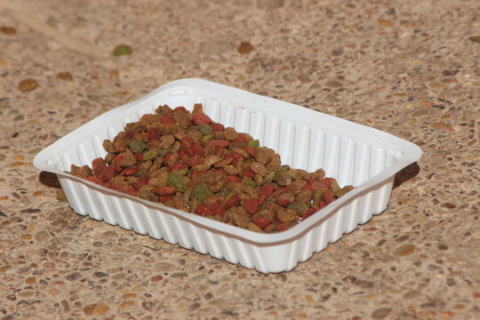 Dried cat food in a white plastic plate