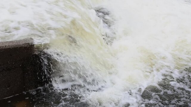 Slow motion video of two Eagle Lake rainbow trout (Oncorhynchus mykiss aquilarum) leaping upstream at Pine Creek weir in Lassen County, California.