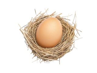A single egg rests snugly in a nest made of straw, showcasing its smooth surface and natural coloration, Transparent Background.