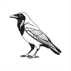 Minimalist Crow Line Art Illustration,simple Raven Outline Drawing,One Line Crow Bird Sketch,Black and White Crow Vector Art,Hand Drawn Raven Outline Design