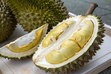 Fototapeta premium Durian fruit