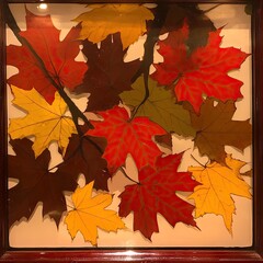 Fototapeta premium Autumn Maple Leaves Framed Art